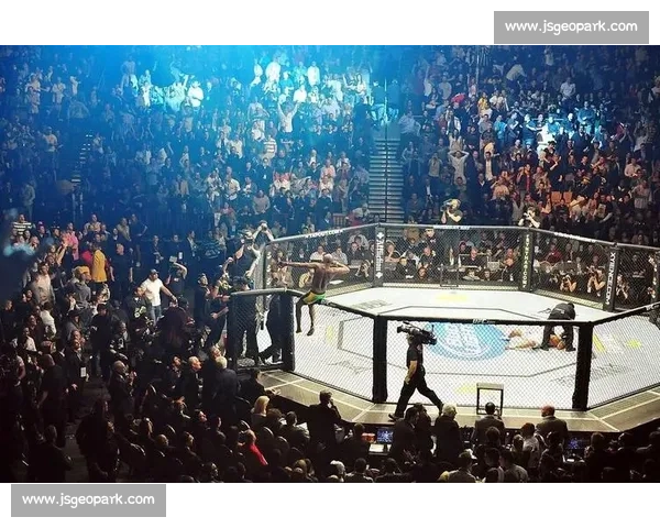 UFC嘴炮隔空叫板阿杜从八角笼火药味到跨界流量大战